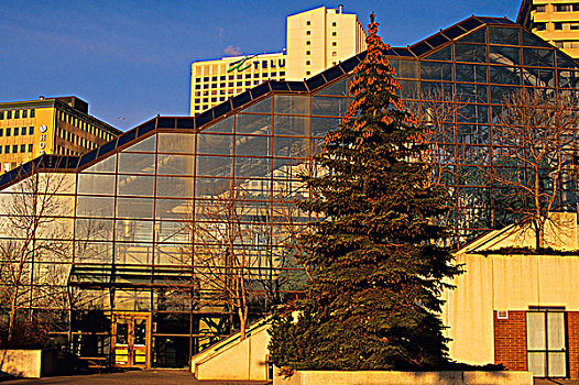 会议中心,市区,背景,艾伯塔省,加拿大
