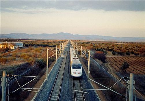 高速列车,旅行,拉曼查,雷阿尔城省,卡斯提尔,西班牙