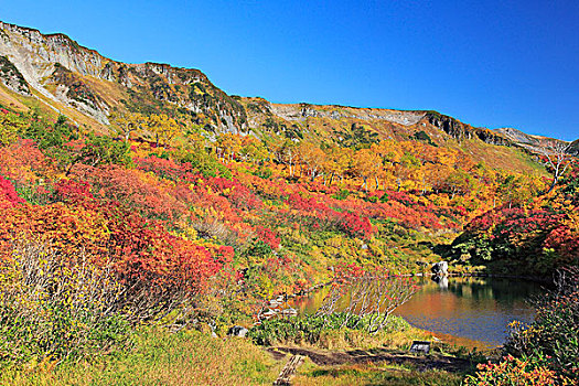 山,温泉,秋叶