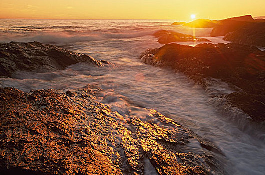 落日,上方,石头,环太平洋国家公园,温哥华岛,不列颠哥伦比亚省,加拿大