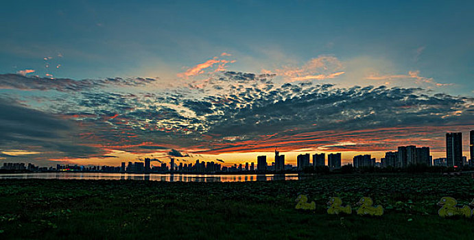 沙湖夜景