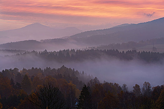 雾状,早晨,上方,波希米亚风格,瑞士,国家公园,捷克共和国
