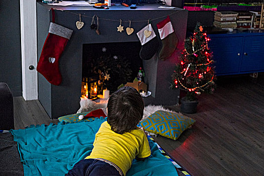 后视图,男性,幼儿,躺着,毯子,注视,圣诞树,正面,壁炉