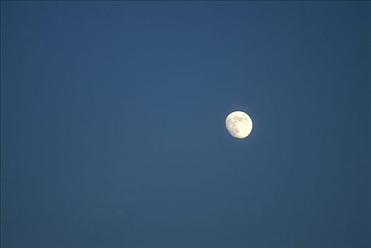 月亮,蓝色背景,夜空