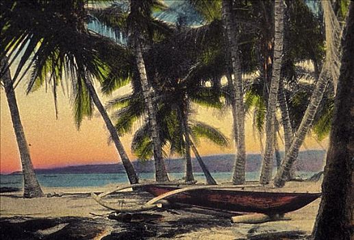 夏威夷,科纳海岸,舷外支架,独木舟,岸边,围绕,棕榈树,明信片