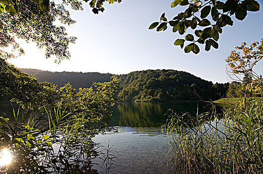 湖,树林,十六湖国家公园,克罗地亚