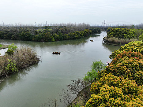 沙家浜