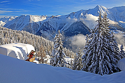 冬季风景,积雪,木房子,背影,贝特默阿尔卑,阿莱奇地区,瓦莱,瑞士,欧洲