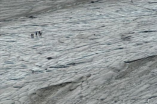 冰河,国家公园,陶安,奥地利