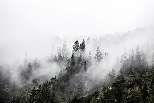 风景,山谷,高,陶安,上陶恩山国家公园,萨尔茨堡,奥地利,欧洲