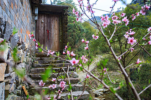 鄞州,塘溪镇,塘溪,黄泥岭古道,古道,阳光,山路,山林