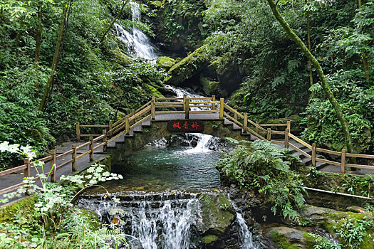 万盛黑山谷景区