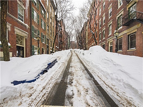雪,街道,波士顿,美国