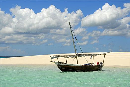 传统,帆船,白沙,堤岸,靠近,印度洋,桑给巴尔岛,坦桑尼亚
