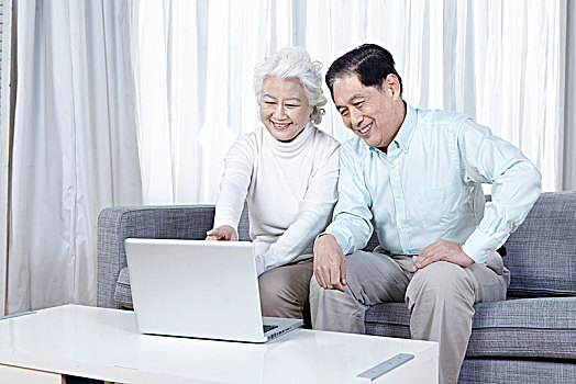 一起上网的老年夫妇