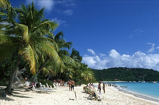 棕榈树,海滩,白色,湾,岛屿,英属维京群岛,加勒比海