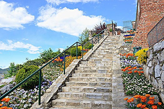 彩色,花坛,排队,排列,岩石,楼梯井,格拉茨,奥地利
