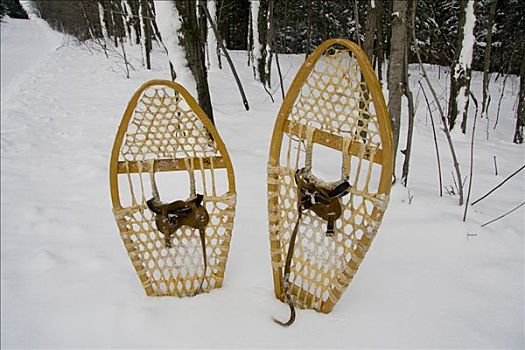 雪鞋,雪地,加拿大