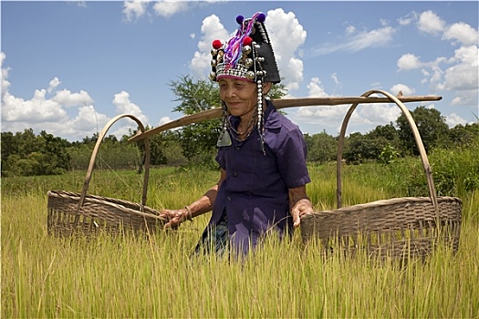 老挝阿卡族摄影哺乳期图片