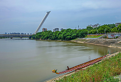 湖南省长沙浏阳河畔的龙舟－端午节,赛龙舟