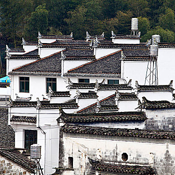 江西婺源,思溪延村,油菜花,徽派建筑,民居