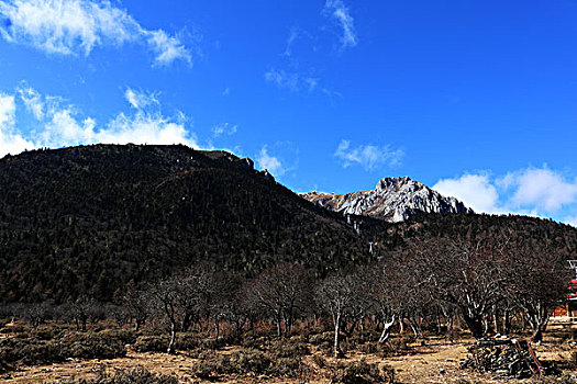 香格里拉石卡雪山