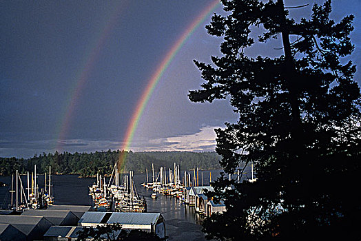 一对,彩虹,独木舟,小湾,码头,温哥华岛,不列颠哥伦比亚省,加拿大