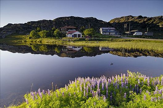自然风光,住宅区,挪威