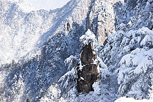 雪景,黄山