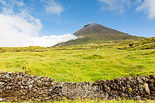 火山岩,石墙,正面,牧场,攀升,皮库岛,亚速尔群岛,葡萄牙