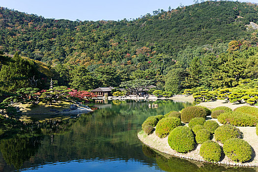 日本人,花园,秋天