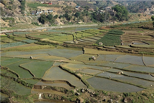 农业,尼泊尔