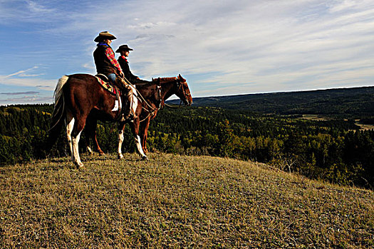 女牛仔,牛仔,坐,马,注视,远景,萨斯喀彻温,加拿大