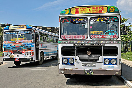 巴士,车站,加勒,斯里兰卡,南亚
