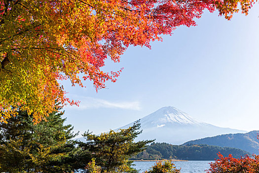 湖,富士山