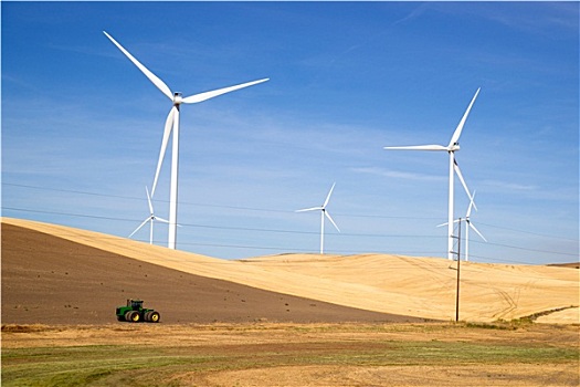 清洁能源,风轮机,农业,农田