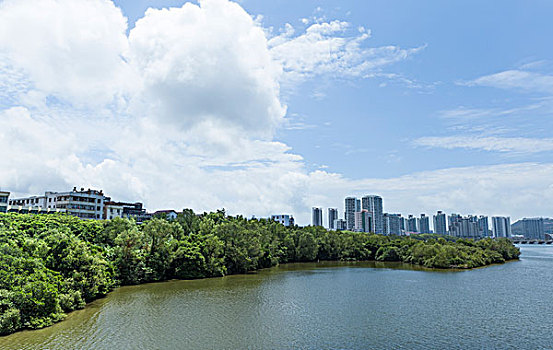 三亚湾河西红树林港口