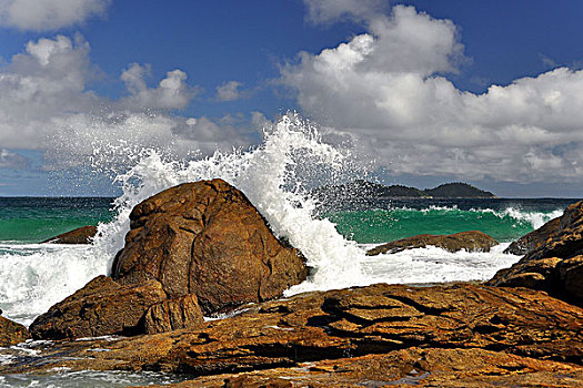 波浪,岩石,海滩,大,靠近,里约热内卢,巴西,南美