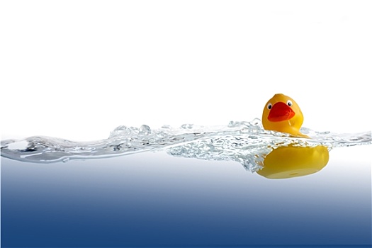 橡皮鸭,水中