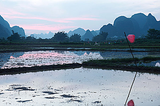 遇龙河边的田园风景