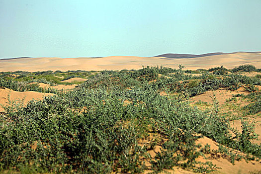 巴丹吉林沙漠