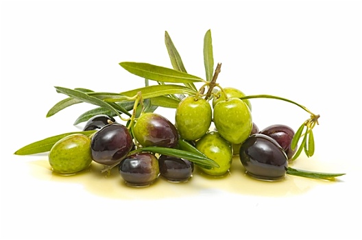 品种,新鲜,橄榄,橄榄油
