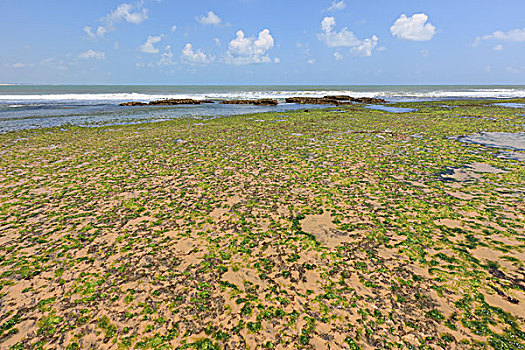 海滩,北里奥格兰德,巴西