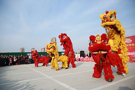 年货大集上醒狮欢腾,市民争相观看抚摸图个好彩头