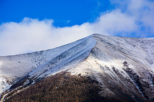 西北第一村白哈巴村盛景