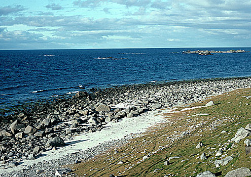 瑞典,岩石,海滩