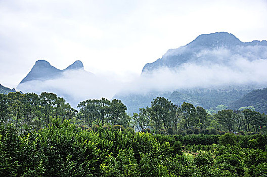 雾色山岭