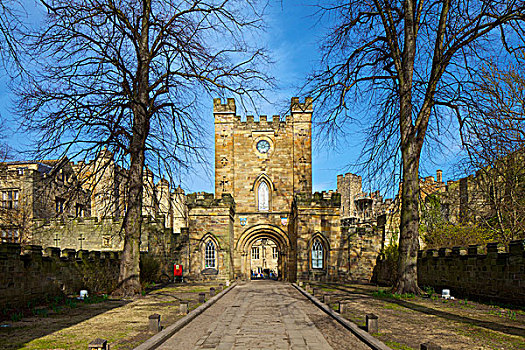 入口,大学,城堡,英国