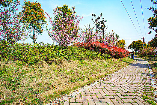 海曙,古林镇,仲一村,河道,公园,绿化