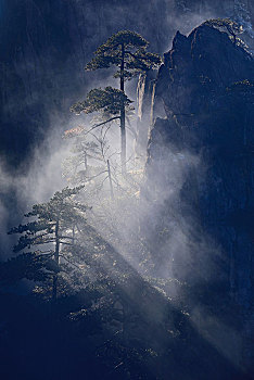 黄山雾凇光影